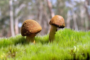 世界游泳青少年技术晋级赛成绩通报，2022游泳世界锦标赛